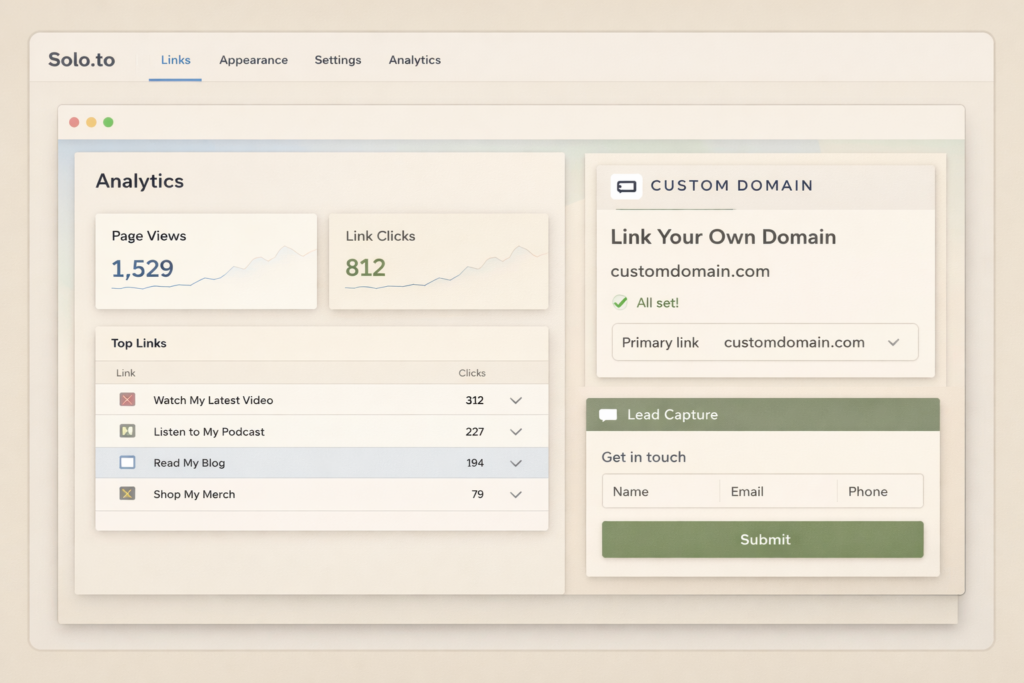 Solo.to analytics dashboard with custom domain and lead capture features

